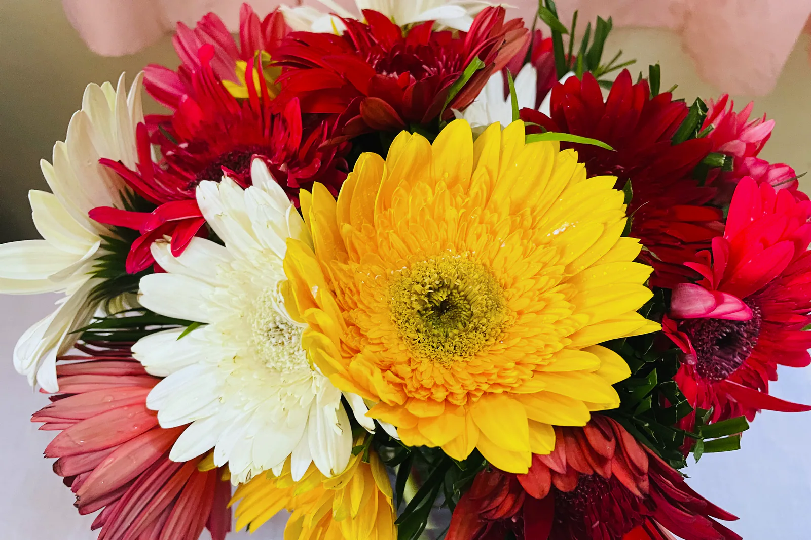 Gerbera Buketi