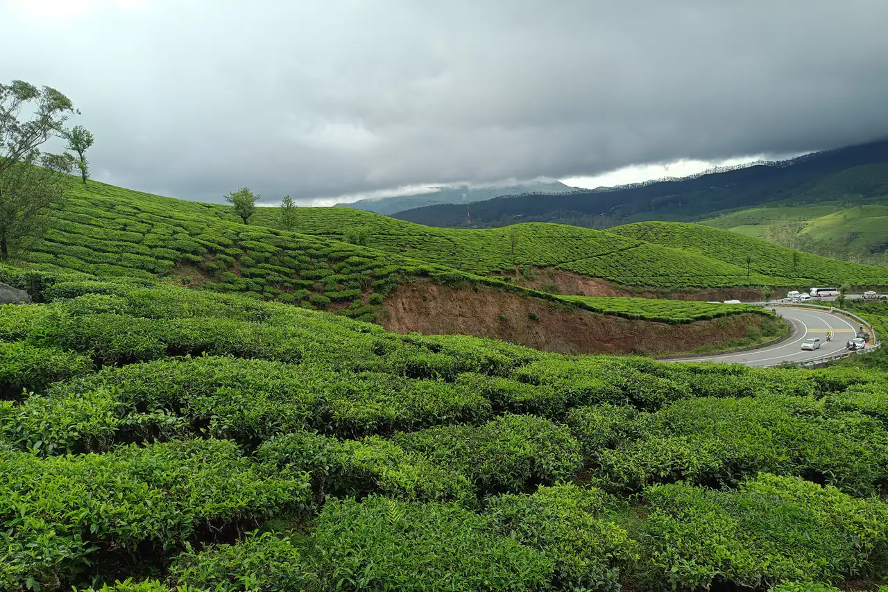 Hamdi Bey, Rize İkizdere