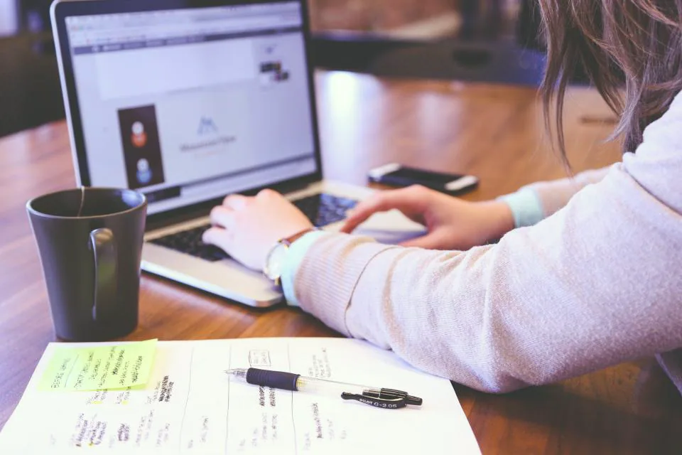 Sadece WordPress, her detayıyla