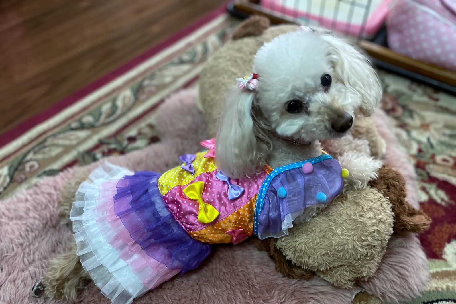 Tül Etekli Köpek Elbisesi