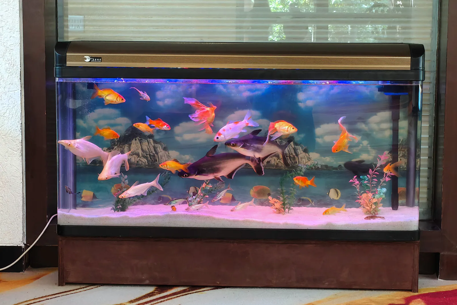 LED Aydınlatmalı Akvaryum 100 L