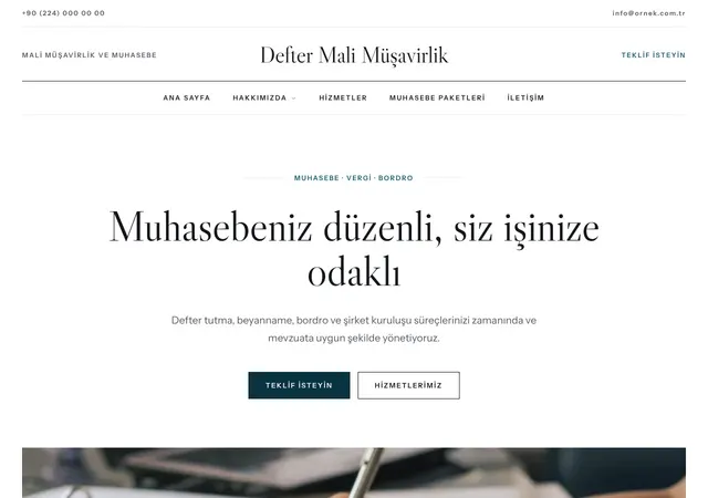 Mali Müşavirlik ve Muhasebe web sitesi şablonu ana sayfa görünümü