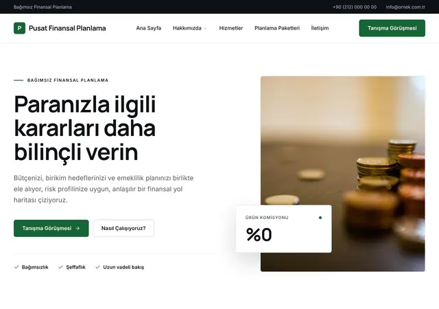 Kişisel Finansal Planlama web sitesi şablonu ana sayfa görünümü