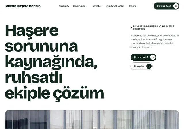 Haşere İlaçlama web sitesi şablonu ana sayfa görünümü
