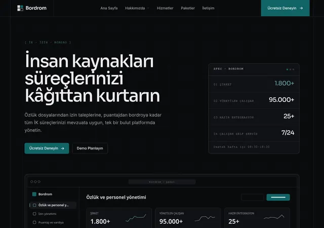 İK ve Bordro Yazılımı web sitesi şablonu ana sayfa görünümü