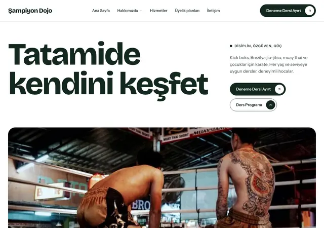 Dövüş Sporları Akademisi web sitesi şablonu ana sayfa görünümü